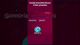 Sexual reproduction in human beings  Sexually transmitted diseases  human reproduction [upl. by Rina716]