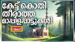 Mappilapattukal  Mappila Pattukal Malayalam  Malayalam Mappila Songs  Old Mappilappattukal [upl. by Ordnael997]