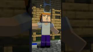 Sally TikTok 3D Zoom Challenge  Abang Sally Minecraft Minecraft Animation [upl. by Ayikaz432]