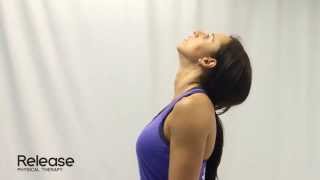 Cervical Spine Retraction amp Extension  McKenzie Exercise for Neck [upl. by Eirolam]