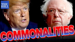 Conservative Authors What Bernie and Trump have in common [upl. by Elatnahs]