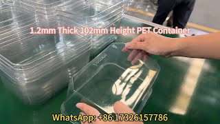 12mm Thick 102mm Height PET Container By HYX7161 Thermoforming Machine [upl. by Akcinahs952]