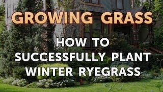 How to Successfully Plant Winter Ryegrass [upl. by Tonia]