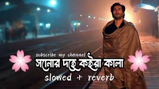 Sonar Deho Koira Kala 🌸সোনার দেহ কইরা কালা  Slowed Reverb  Lofi Music  TikTok Viral Song 2024 [upl. by Couq134]