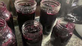 Canning Blueberry Pie Filling No clear jel Preserving Perishable Food Series 2 [upl. by Ettesoj]