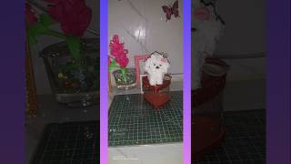 Cute diy Dog desk decor shorts diy craft diymalayalam diycraft deskdecor cute tissuepaper [upl. by Francine]