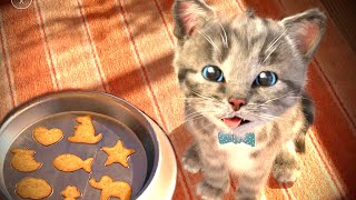 Little Kitten Adventures Best Learning Video for Toddlers Funny Kittens Animated Stories Educational [upl. by Pfister18]