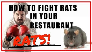 Restaurant Rat Extermination Floors Vendors Storage Traps Central FL [upl. by Hanson]