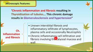 Acute Pyelonephritis And Chronic Pyelonephritis  Pathology [upl. by Ansela]