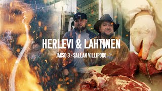 HERLEVI amp LAHTINEN  JAKSO 3  Sallan Villiporo [upl. by Assylla]