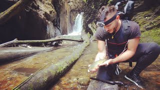 Les Débuts Dune GRANDE aventure de PÊCHE 🦈🎣⛏️ [upl. by Nilreb898]