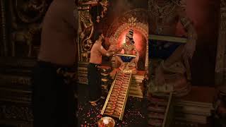 Swamy Ayyappan pooja 🙇‍♂️🌸🙏 swamyayyappa swamiyesaranamayyappa trending viral shorts pooja [upl. by Eppesiug232]