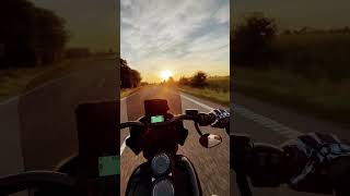 Low rider s Sunset Cruise stage2 dyna clubstyle harleydavidson fxdb fxlrs streetbob wheelie [upl. by Jaquiss]