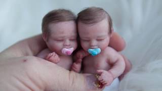 Miniature Silicone Reborn Baby Twins Lucy amp Lucas [upl. by Hussein]