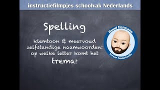 Spelling klemtoon meervouden amp gebruik trema woorde op iën of ieën [upl. by Else]