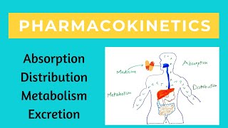 Pharmacokinetics  The movement of Drug through our body [upl. by Darcee364]