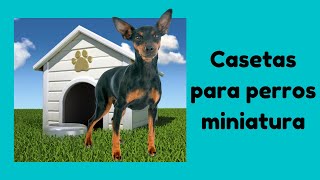 Mejores casetas para pinscher miniatura🐕🏠 [upl. by Nnov]