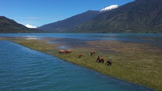 El maravilloso Estuario de Reloncaví  Ruta 5 [upl. by Alehtse]