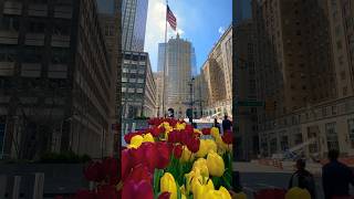 The Helmsley Building summitonevanderbilt metlife parkavenue grandcentralterminal nyc newyork [upl. by Gibb]