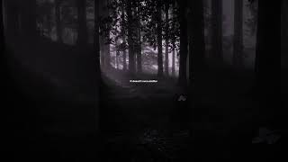 Linkin Park  In the and  lyrics  quotI tried so hard  aesthetic  whatsapp Status slowed speed up [upl. by Hobbie]