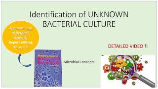 Bergeys Manual of Systematic Bacteriology Simple way microbiologynotes viral youtubeshortsvideo [upl. by Anerbes634]