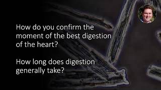 When digesting the heart for cardiomyocyte isolation how long does it usually take [upl. by Anec]