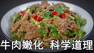 牛肉怎么腌制才嫩？大厨教你一招，牛肉这样做嫩如豆腐，香菜拌牛肉嫩滑好吃又入味。牛肉的正确腌制方法和腌制时间？生姜汁如何嫩化牛肉？哪些牛肉部位最嫩？好吃的凉拌汁怎么调？牛肉的做法 腌制牛肉牛肉美食 [upl. by Essile375]