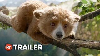 Paddington in Peru Trailer 3 2024 [upl. by Delsman]