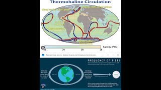 Perpetual Thermohaline Circulation [upl. by Killarney362]