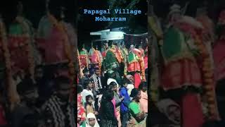 Papagal Moharram  moharram peerlapanduga [upl. by Leveridge19]