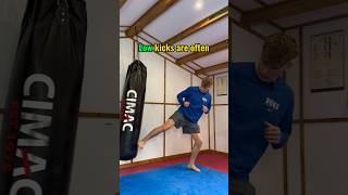 Low kicks vs high kicks [upl. by Cone]