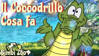 Il Coccodrillo Cosa Fa  Canzone Per Bambini [upl. by Eisdnyl]