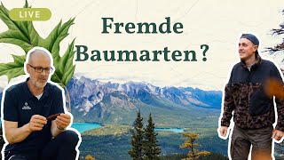 Fremde Baumarten für den Wald der Zukunft [upl. by Dom221]