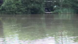 WINTONS FISHERY BURGESS HILL WEST SUSSEX [upl. by Adirahs]