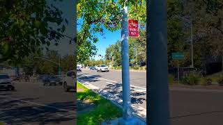 Cupertino DiariesA Variety Of Architecture travelvlog Cupertino city California travel [upl. by Isac]