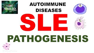 Autoimmune diseases Part 4 Systemic Lupus Erythematosus Pathogenesis [upl. by Hailahk]