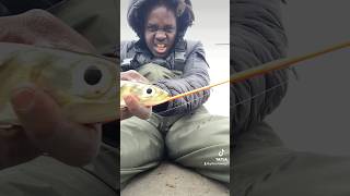 Lady Fish 😂💪🏾🎣 ladyfish throwback viralvideo  fypシ゚viral fish fishspecies gifted funny [upl. by Asinet]