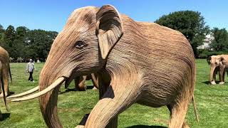 The Great Elephant Migration at Rough Point mansion in Newport RI [upl. by Stephie]