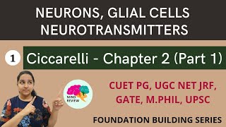 Ciccarelli Chapter 2  Part 1  Neurons Glial Cells Neurotransmitters  Mind Review [upl. by Roseanna923]