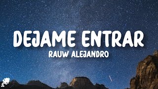 Rauw Alejandro  Déjame Entrar LetraLyrics [upl. by Abrahan]