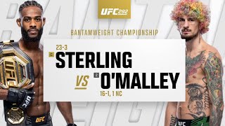 UFC 292 Aljamain Sterling vs Sean OMalley Highlights [upl. by Eustis]