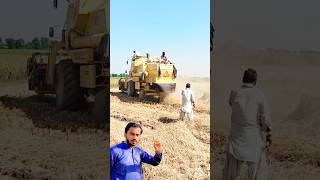 Harvester machine is cutting rice and two men are sitting on top of it  short ytshort shortvideo [upl. by Braden]