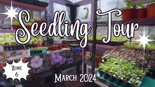 🌱 March 2024 Seedling amp Garden Update Zone 6 Cottage Garden Vlog🍄 [upl. by Assej498]