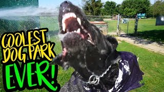 WORLDS COOLEST DOG PARK [upl. by Elsi]