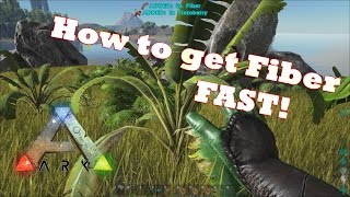 Ark Survival Evolved  How To Get Fiber FAST [upl. by Vasiliu]