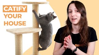 How to Catify Your Home 5 ExpertApproved Tips [upl. by Katlin]