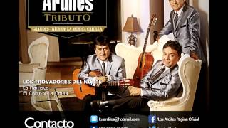 Los Ardiles  Tributo a los Grandes Tríos de la Música Criolla Audio Oficial [upl. by Nommad]