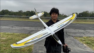 EFLITE CONSCENDO EVOLUTION 15M  GLIDER THINKS ITS A JET [upl. by Shalne]