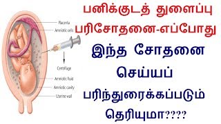 பனிக்குடத் துளைப்பு பரிசோதனை எப்போது இந்த சோதனை செய்யப் பரிந்துரைக்கப்படும் தெரியுமா [upl. by Ramma607]