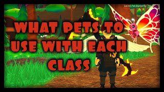 What Pet to Use for Each Class in World Zero on Roblox [upl. by Aneehc]